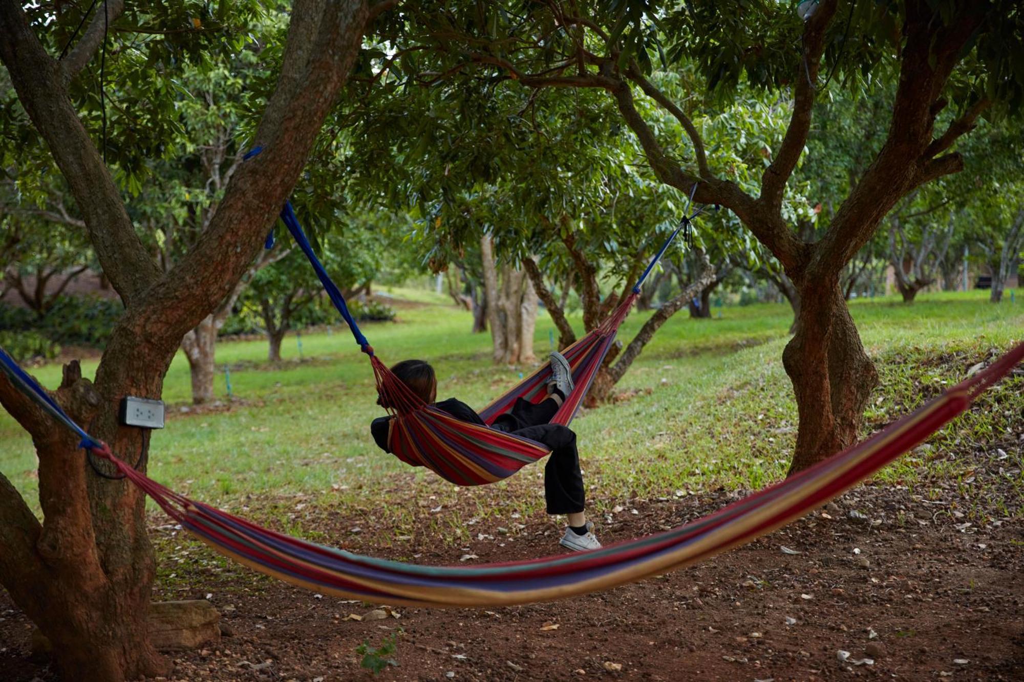 فندق Nuyu Khaoyai Pong Talong المظهر الخارجي الصورة